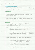 Information Technology in Business Notes