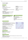 Theme 10 - problems in pelvis summary (vol I) Bachelor Medicine, Geneeskunde (RUG) - 2.1.5