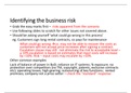 business risks summary