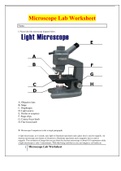 Microscope Lab Worksheet