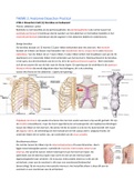 Human pathology anatomie van het menselijk lichaam