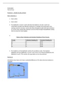 Physics practical report example