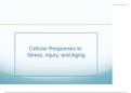 Exam (elaborations) NURP 404 Week2CellularResponse_CDK_20181_2_2_2  Cellular Responses to  Stress, Injury, and Aging