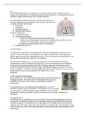 Anatomie en Fysiologie samenvatting hoofdstuk 5 en 6