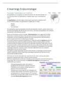 E-learnings Endocrinologie