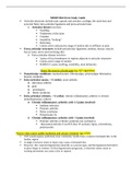 NR 509 Study Guide 2021 Currently Updated Chamberlain College of Nursing