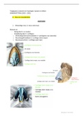 Summary  Toegepaste Anatomie En Fysiologie