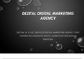 Dezital, Best Digital Marketing Agency in Pakistan - Digital Marketing