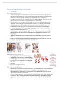 Ziekteleer cardiologie: volledige samenvatting