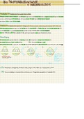 Proteinbiosynthese (Transkription + Translation)