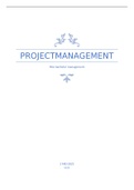 Op zoek naar uitleg over de praktische toepassing van projecten? Dit document geeft jou handvatten!