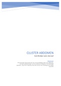 Cluster Abdomen - Leerstof schriftelijke toets (compleet) 2020/2021