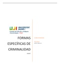 Temario de la asignatura Formas Específicas de Criminalidad