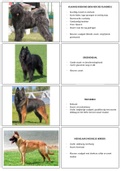 Flashcards van hondenrassen (groep 1)