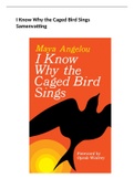 Uitgebreide samenvatting van I Know Why the Caged Bird Sings 