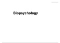 Revision for PSYB1 - biopsychology