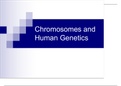 Chromosomes and Human Genetics.