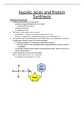 Nucleic acids and protein synthesis
