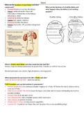 med surg 1 renal lecture notes 