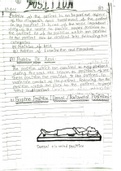 WAYS POSITION NURSING