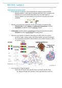 BCH 2333 &ndash; Lecture 2   INTERMOLECULAR INTERACTIONS STUDY GUIDE