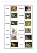 Samenvatting  Wereldori&euml;ntatie Vogels 