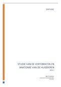 Samenvatting Studie Van De Vertebraten en Algemene Anatomie Van De Huisdieren: semester I 