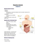 Class notes Biology Digestive System Biology 11, ISBN: 9780070915800