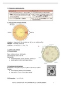 Structuur van chromatine en chromosomen