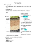 Soil Formation 