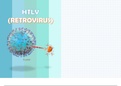 HTLV - Retrovirus .