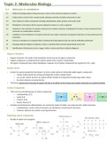 IB Biology Topic 2 Molecular Biology condensed notes summary 