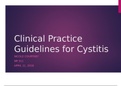NR 511 - Clinical Practice Guidelines for Cystitis by Nicole Courtney. Presentation. 