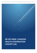 NR 509 Week 1 Shadow Health Conversation Concept Lab.