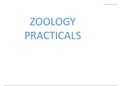  zoology practicals based on NCERT 