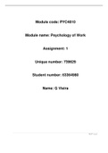 Psychology of Work PYC4810 assignment one -blogs (distinction)