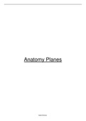 Anatomy Planes
