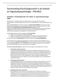 Samenvatting  Psychodiagnostiek in de Arbeids- en Organisatiepsychologie – PM0012 (PM0012)