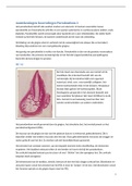 Uitgewerkte aantekeningen hoorcolleges Parodontium 1