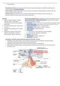 Endocrine System, Calcium Homeostasis and Bone