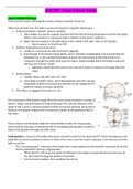 NSG 307 - Exam 2 Study Guide