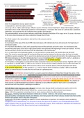 Critical care exam 2 personal notes.pdf