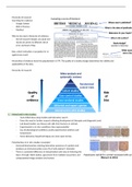 Hierarchy of Research
