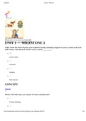 ART HISTORY I - SOPHIA LEARNING - UNIT 1 MAIN MILESTONE Q&A.pdf/ RATED A