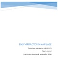 Enzympracticum amylase van Biologie