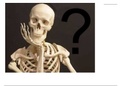PowerPoint presentatie spreekbeurt over het skelet van de mens