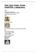 TAM 2045 FINAL EXAM - CHAPTER 1 questions and answers&lpar;diagrams included&rpar;