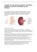 Chapter 26; The Urinary System: Functional Anatomy and Urine Formation by the Kidneys 