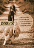 Wat is SGLVB?