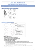 Summary Cel. & Mol. Neurosciences: Partim Molecular Neurosciences